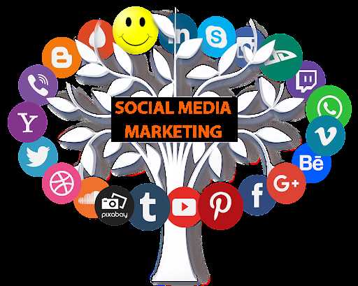 Продвижение в социальных сетях (SMM) - эффективные стратегии и инструменты